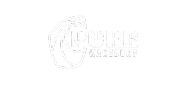 Pure_Wakesurf brand